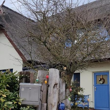 Ferienwohnung Im Rohrdachhaus Wustrow  Bagian luar foto
